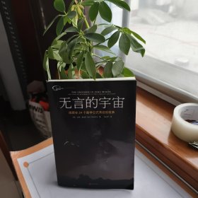 无言的宇宙：隐藏在24个数学公式背后的故事