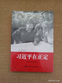 习近平在正定