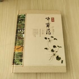 实用中草药