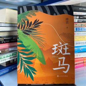 斑马（傅真2022年全新力作，从北京到曼谷，跨越三千二百公里的治愈之旅）