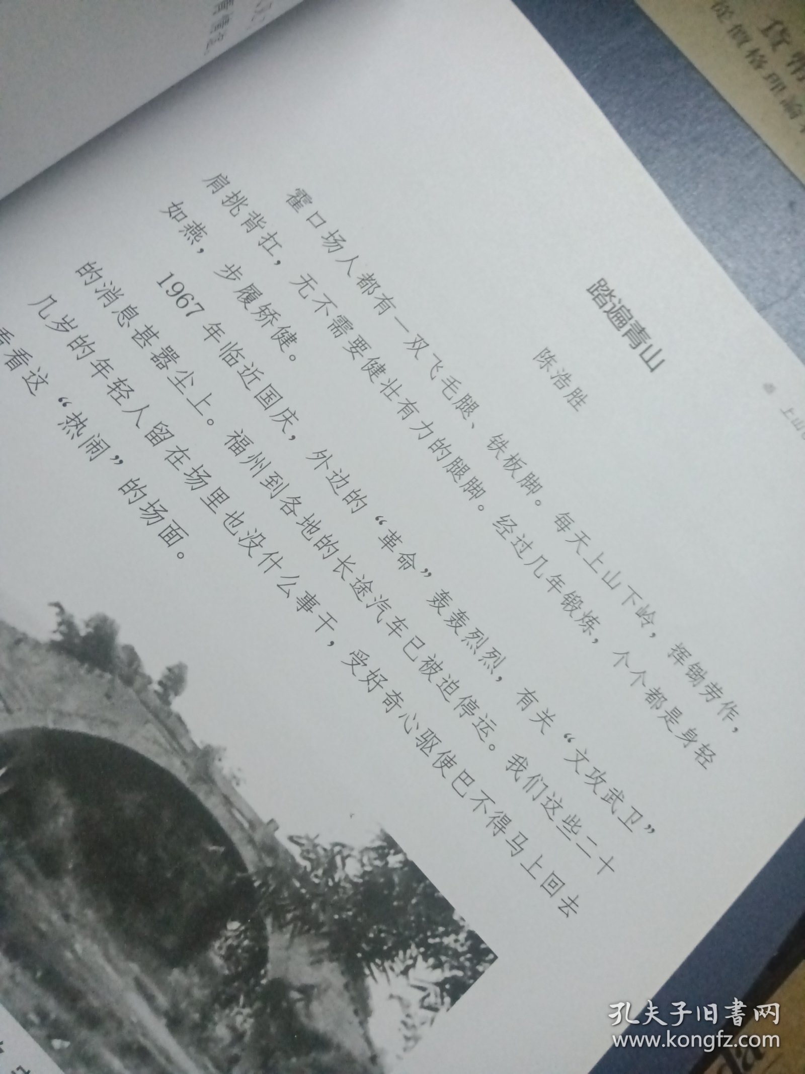 《山茶花》纪念福州市霍口油茶场知青上山60周年1963-2023