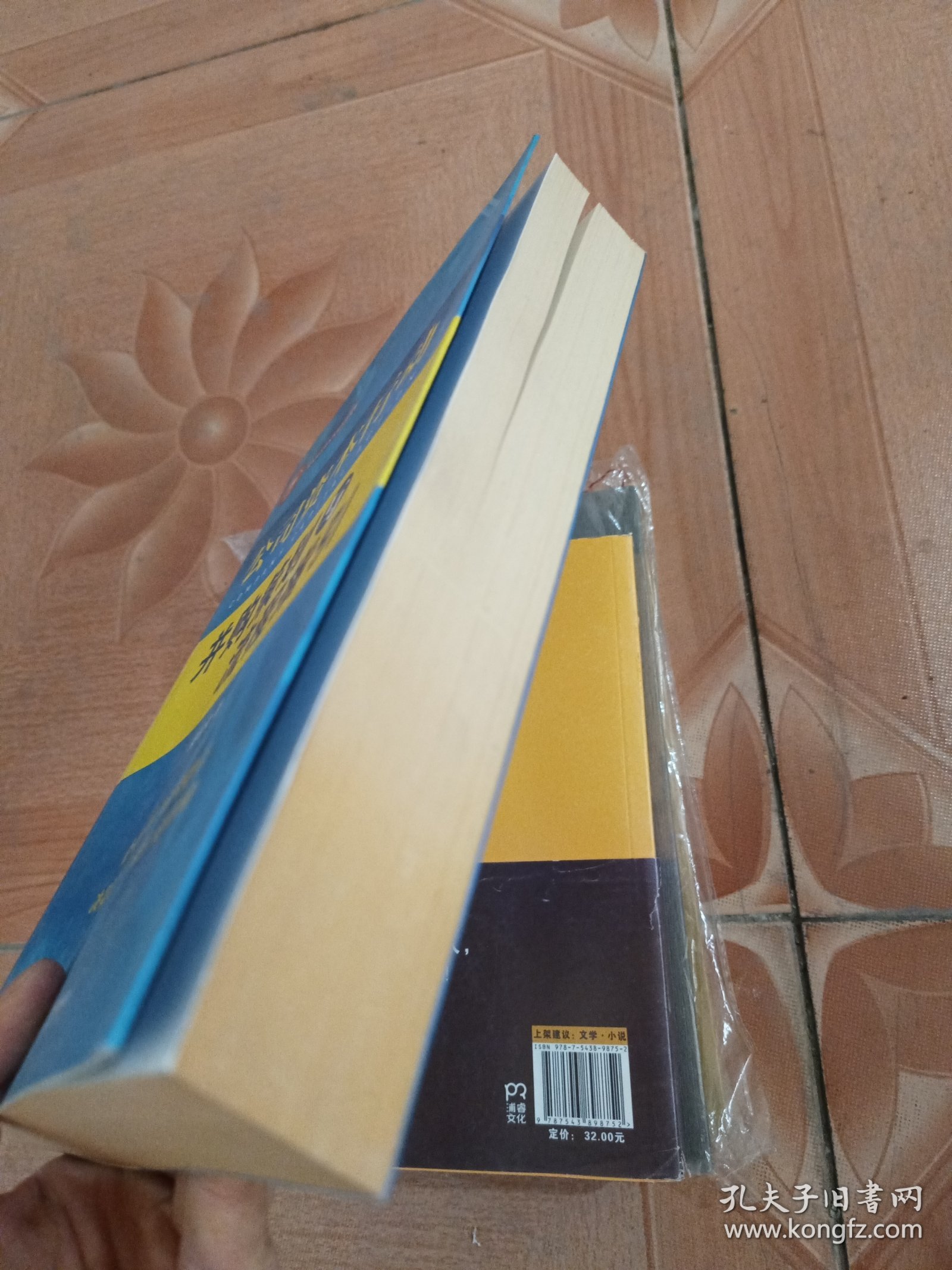 公司资本行动 并购策划与流程指引