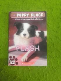 THE PUPPY PLACE:FLASH
