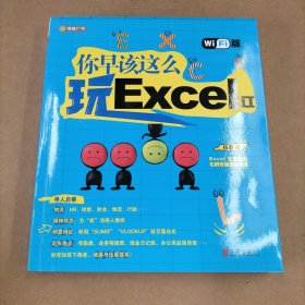 你早该这么玩Excel II （WiFi版）