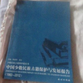 中国少数民族古籍保护与发展报告:19822012