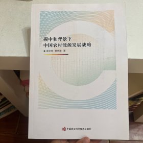 碳中和背景下中国农村能源发展战略