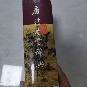 唐诗鉴赏辞典