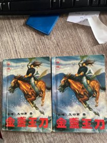 金盏玉刀上下册