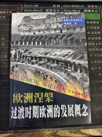欧洲文化系列丛书 欧洲涅槃：过渡时期欧洲的发展概念