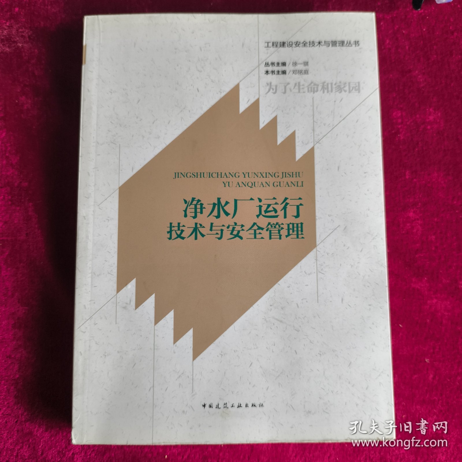 净水厂运行技术与安全管理