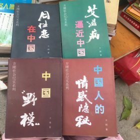 方刚社会纪实系列（全四册）