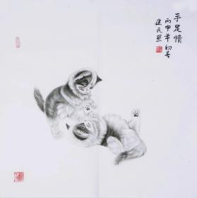 王建民国画字画纯手绘四尺斗方工笔画猫