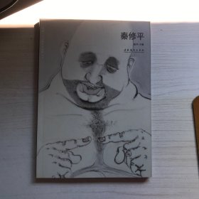 “无境”当代青年艺术家丛书：秦修平