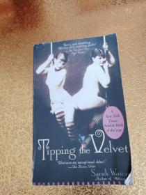 Tipping the Velvet：A Novel【有水印】
