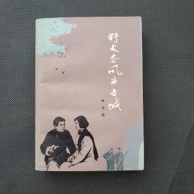 野火春风斗古城小说