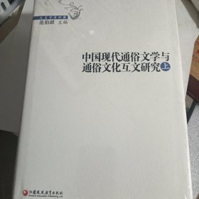 中国现代通俗文学与通俗文化互文研究 上下 未拆封