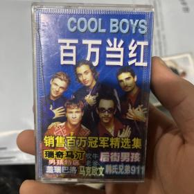磁带  百万当红Cool boys