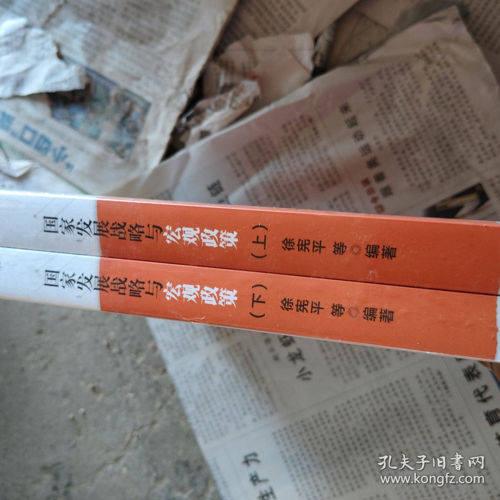 国家发展战略与宏观政策（上下册）