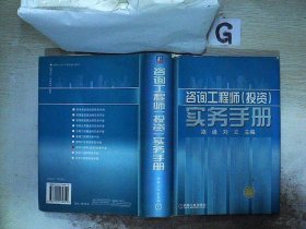 咨询工程师（投资）实务手册