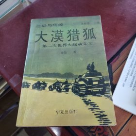 大漠猎狐