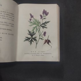 江西草药 彩图版  32开