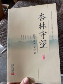 杏林守望——橙子报告文学集