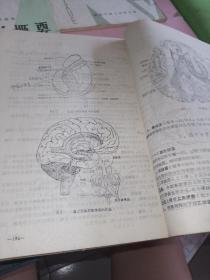 刊授大学教材病理学、生理学、医用微生物学、医古文、组织学概要、人体解剖学共6本合售