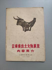 云南省出土文物展览内容简介