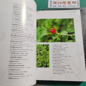 中国野生蔬菜资源