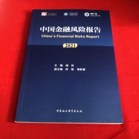 中国金融风险报告（2021）