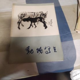 动物写生