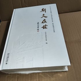 斯文在兹：北京大学中文系建系110周年纪念论文集·现代思想与文学卷