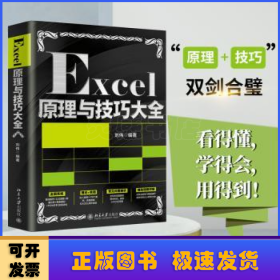 Excel原理与技巧大全