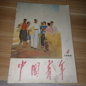 中国青年1966.4