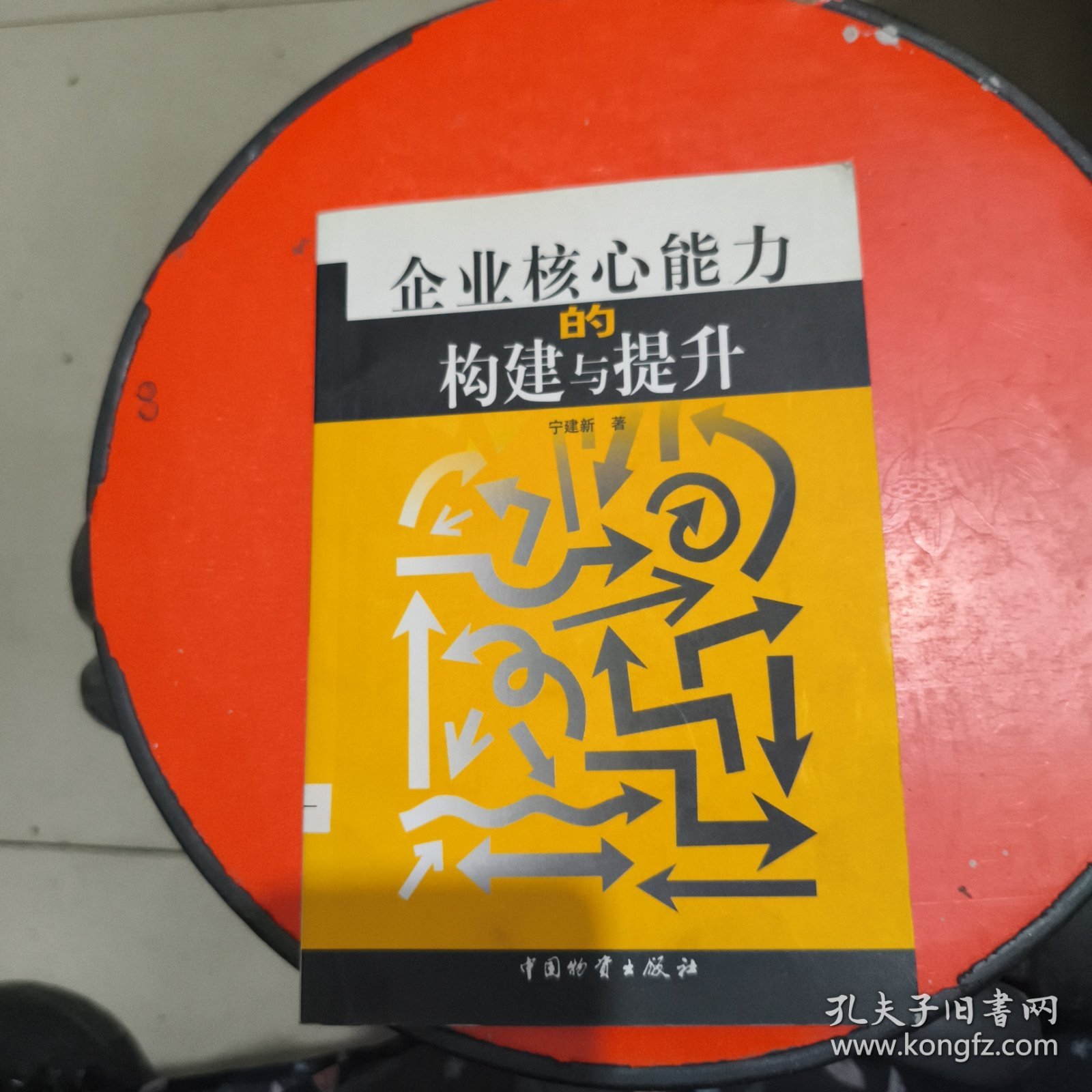 企业核心能力的构建与提升 馆藏