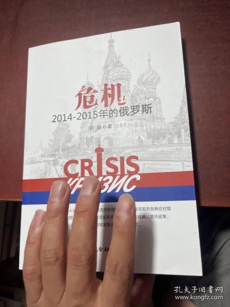 危机：2014-2015年的俄罗斯