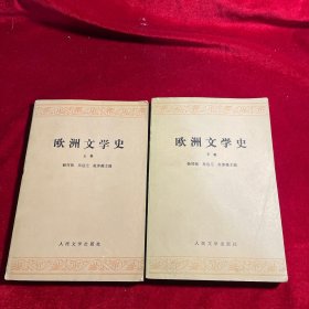 欧洲文学史 上下卷【内页干净无笔迹划痕无缺损】