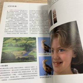 数码摄影完美曝光技法