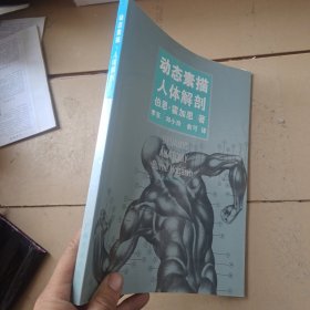 动态素描·人体解剖