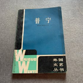 普宁