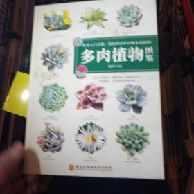 多肉植物图鉴