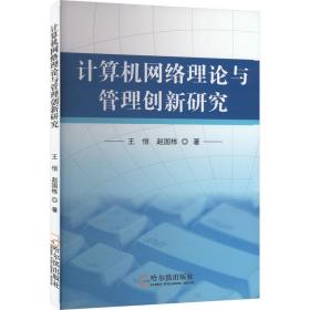 计算机网络理论与管理创新研究 网络技术 王恒，赵国栋 新华正版