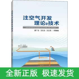 注空氣開發(fā)理論與技術(shù)