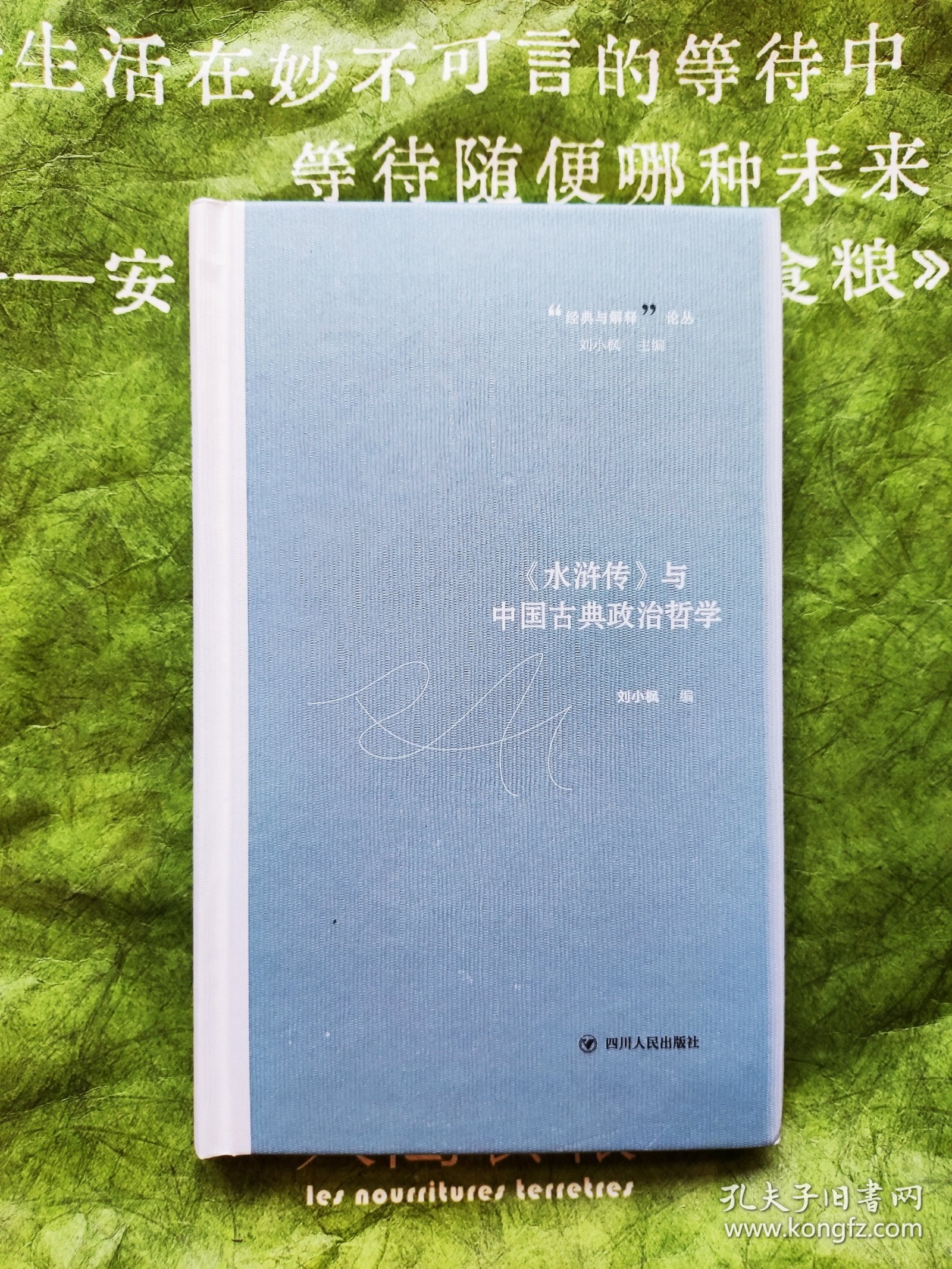 《水浒传》与中国古典政治哲学（经典与解释系列，从“奇书”《水浒传》中探究中国古典政治哲学）