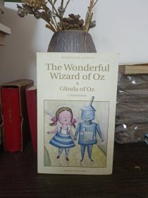 the wonderful wizard of oz 绿野仙踪