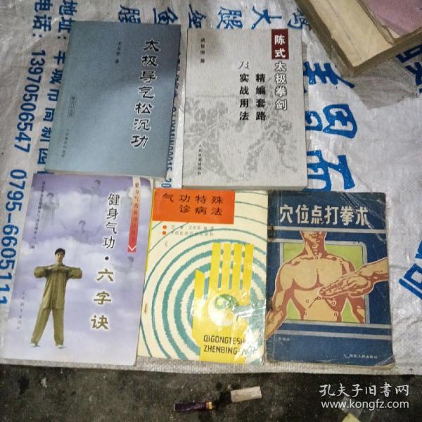 陈式太极拳剑精编套路及实战用法