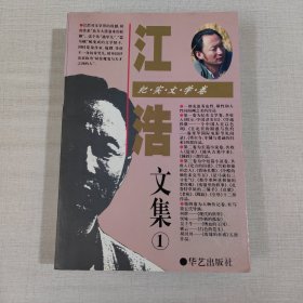 江浩文集1：纪实文学卷