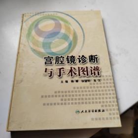 宫腔镜诊断与手术图谱