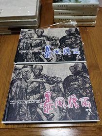 正版 暴风骤雨 精装 32开 上下册 上美 施大畏名作