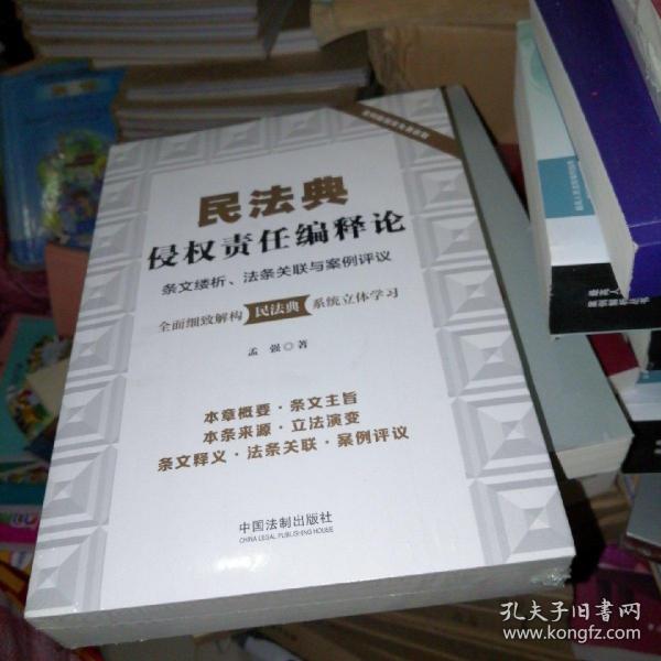 民法典侵权责任编释论：条文缕析、法条关联与案例评议